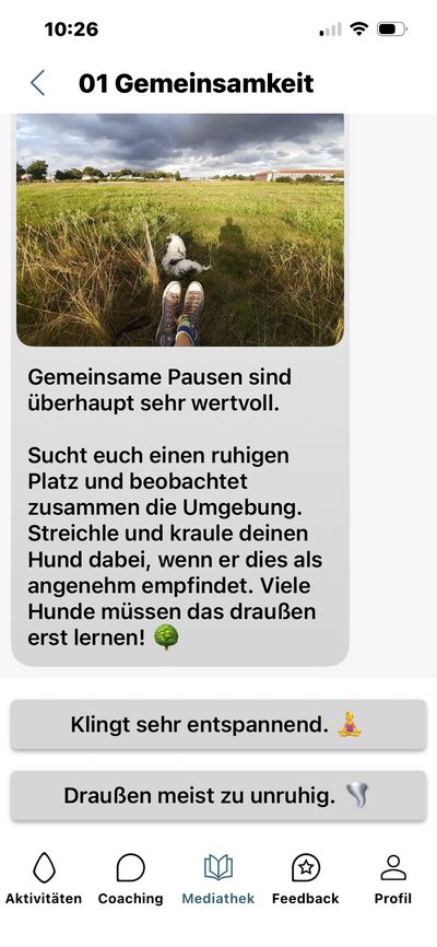Lern-App, Lerninhalt Gemeinsamkeit: Foto eines Hundes auf einer Wiese und Text zu gemeinsamen Pausen