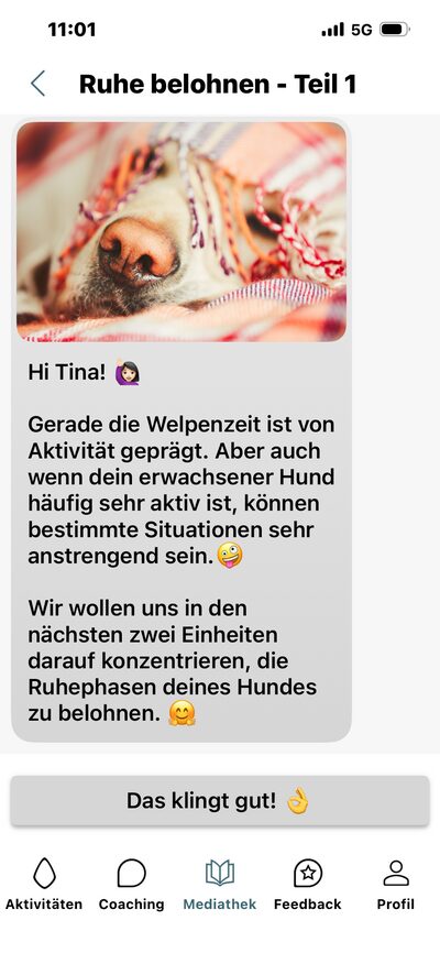 Lern-App, Lerninhalt Ruhe belohnen: Welpe auf einer Decke und Einführung von Tina