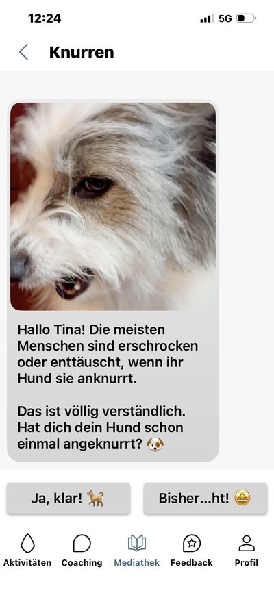 Lern-App, Lerninhalt Knurren: Nahaufnahme eines Hundes und Frage nach Erfahrungen