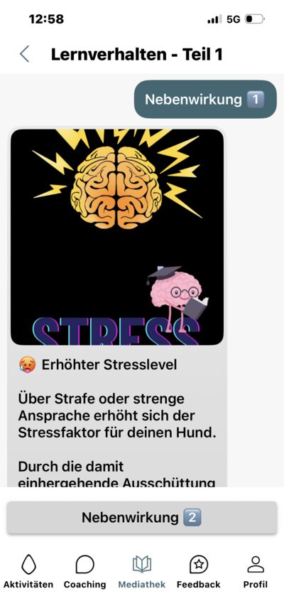 Lern-App, Lerninhalt Lernverhalten: Grafik zu Stress und Erklärung zu Strafe
