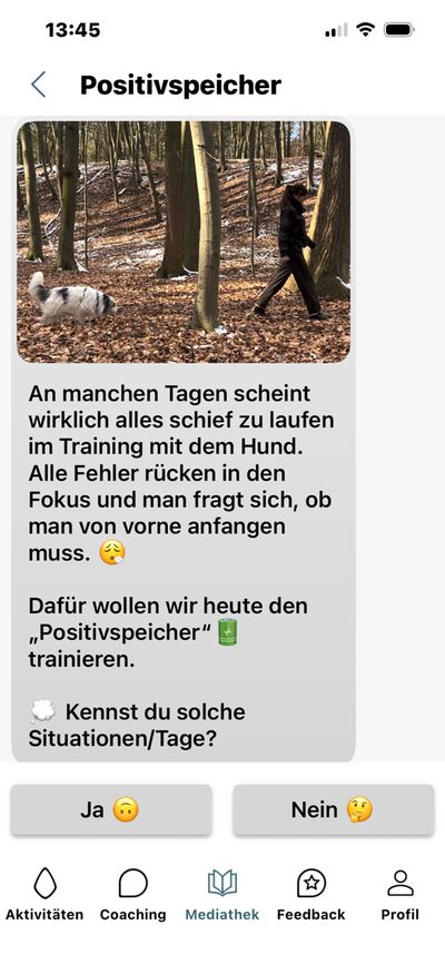 Lern-App, Lerninhalt Positivspeicher: Hund im Wald und Fragen zu schwierigen Trainingstagen